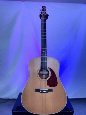 Seagull Guitars - S41541